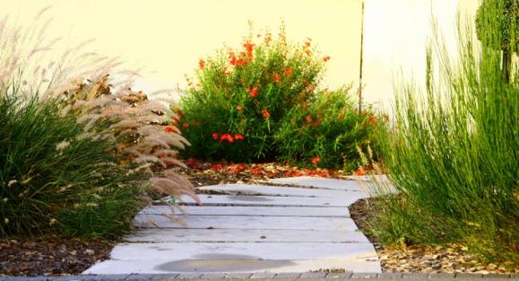 Aménagement de jardins et espaces verts